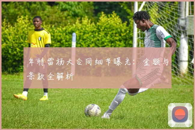 年特雷杨大合同细节曝光：金额与条款全解析